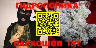 кокс Будённовск