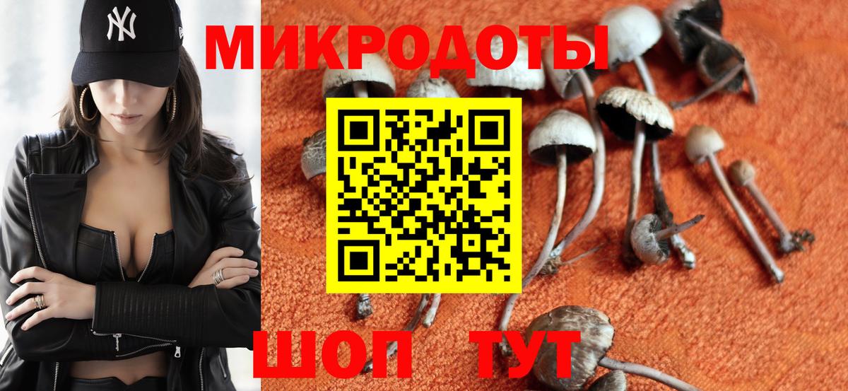 Галлюциногенные грибы GOLDEN TEACHER Богородицк