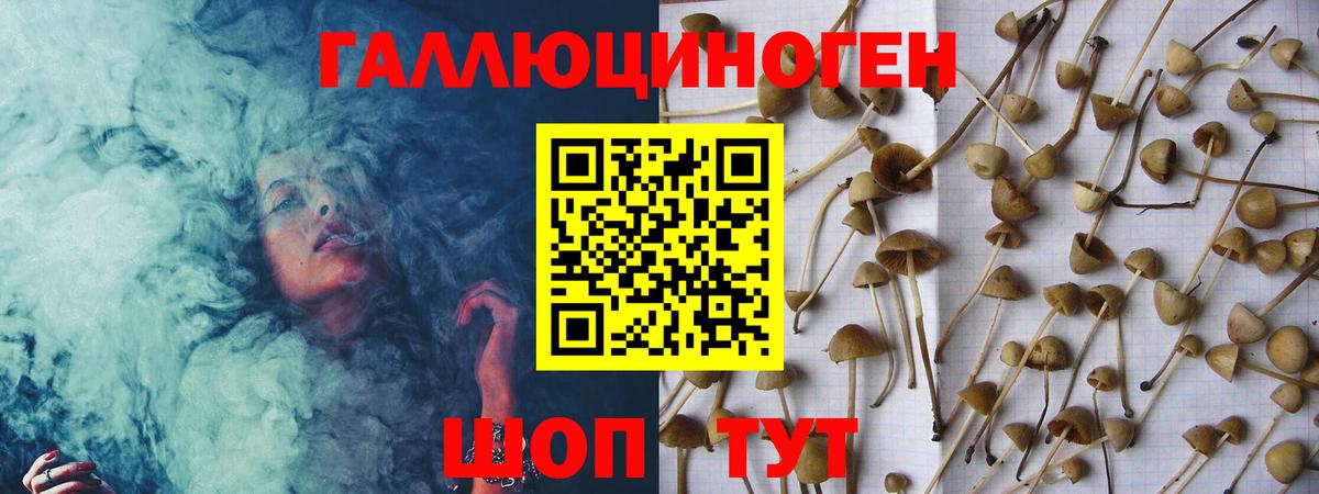 Псилоцибиновые грибы мухоморы  Вход с VPN  Богородицк  Галлюциногенные грибы ЛСД 